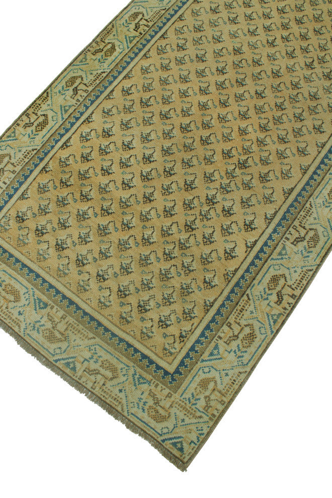 Semi-Antique Danni Beige/Ivory Runner, 3'2x10'0