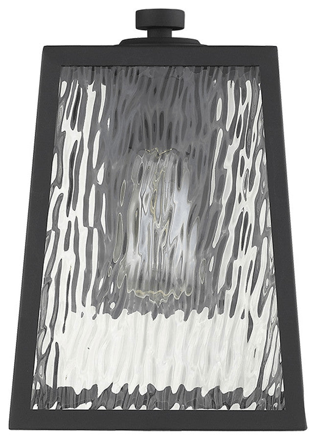 Hirche 1-Light Matte Black Wall Light