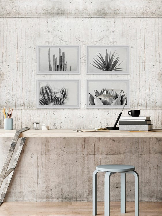 Cactus Kinds Quadriptych, 24"x16"