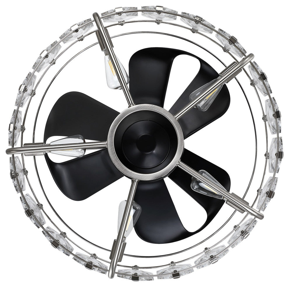 22.8 in Modern Black Caged Ceiling Fan, Fandelier