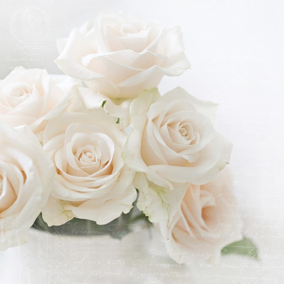 "Blush" Painting Print on Wrapped Canvas