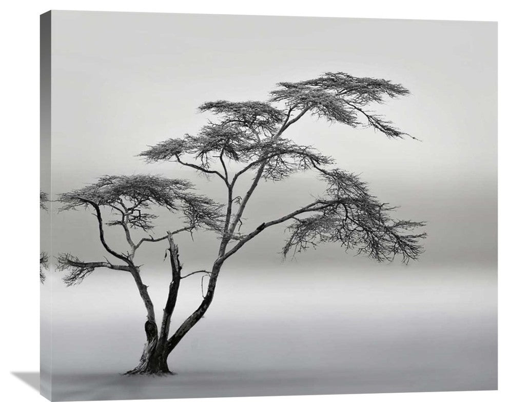 "A Very Long Story" Stretched Canvas Giclee by Piet Flour, 36x31"