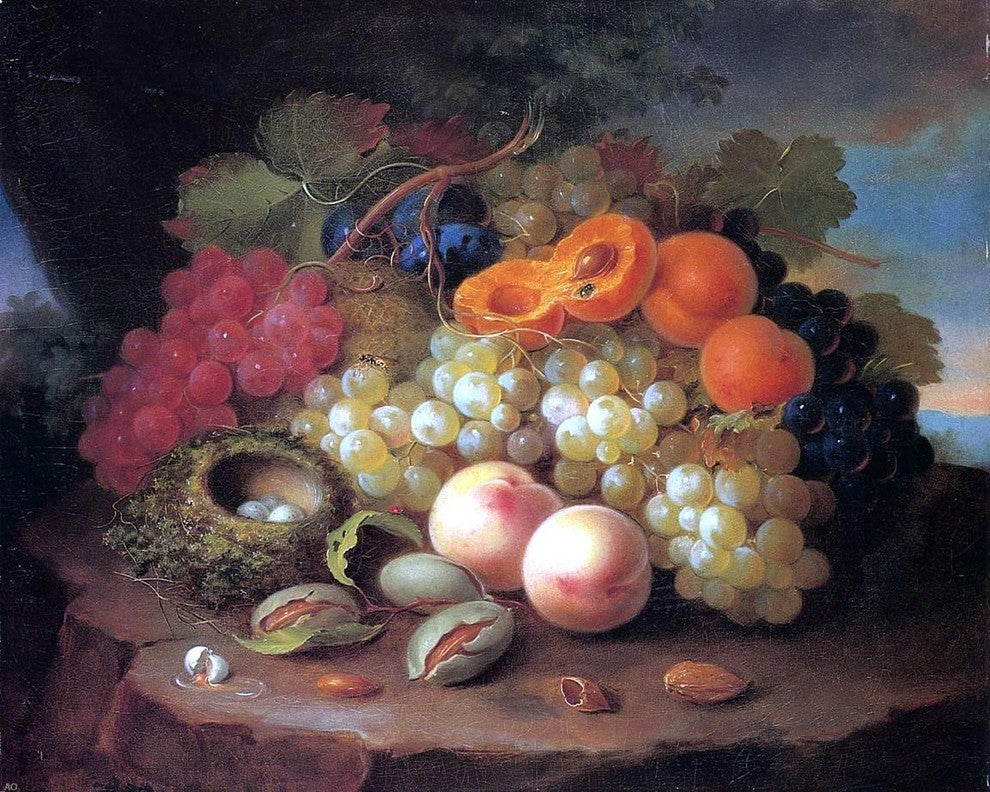 George Forster Still Life With Fruit and Bird-s Nest Wall Decal