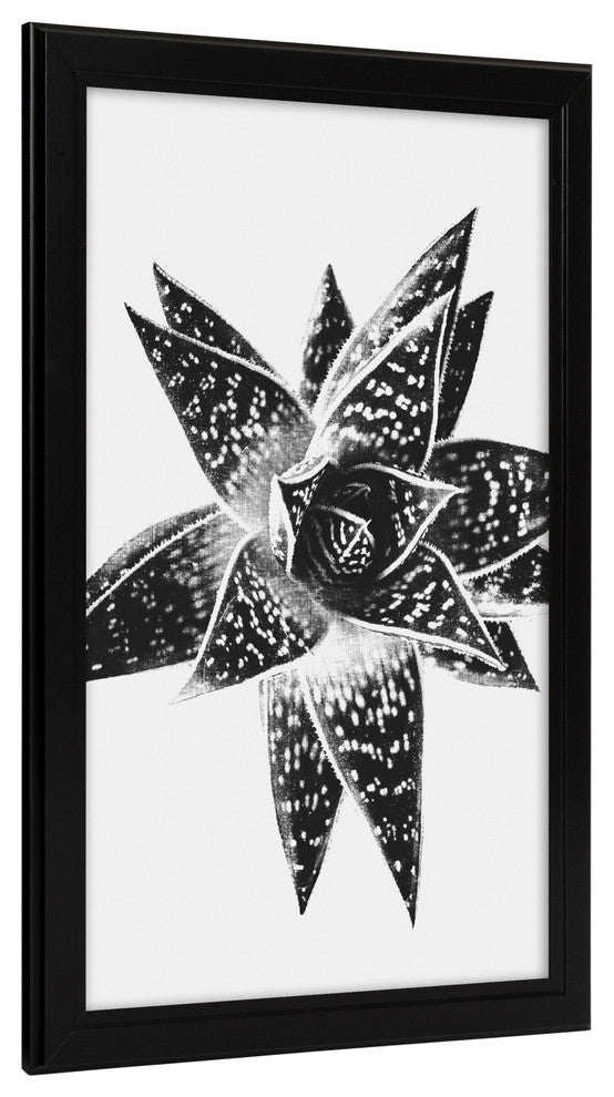 Kieva Solid Wood Picture Frame Set, Black 4x6, Black, 11x17