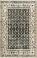 Brilliant Rug, 2'9"x8'2"