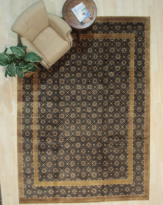 Brown Transitional All Over Ningxia Area Rug