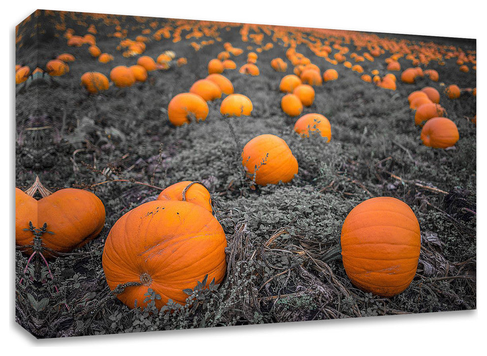 Sea of Pumpkins by Tim Oldford, Print on Canvas, 36"x24"
