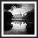 "Central Park" Framed Painting Print, 12"x12"
