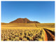 Namibrand Desert Landscape, Landscape Canvas Art Print, 40"x30"