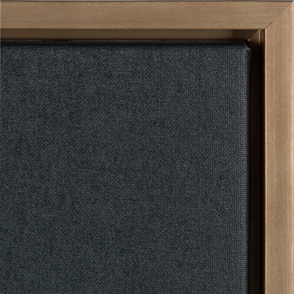 Sylvie Succulent Framed Canvas by F2 Images, Gold 18x24