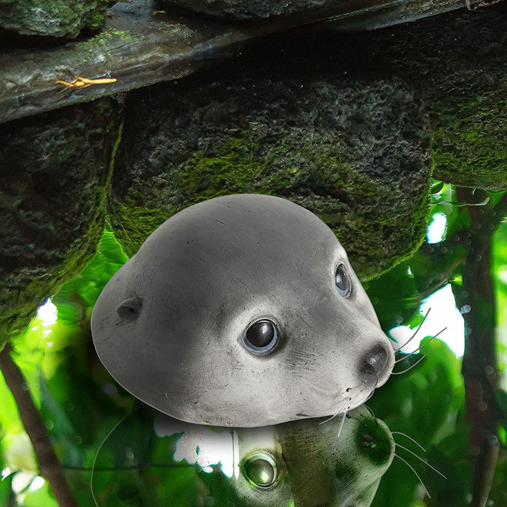 Floating Baby Seal Head