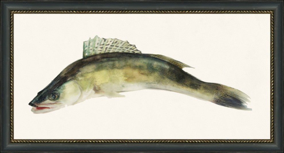 Fresh Catch 3, Giclee Reproduction Artwork