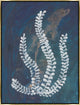 36x48 He Loves Me, He Loves Me Not I, Framed Artwork, Gold