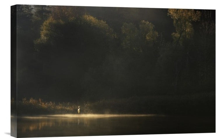 "Down By The River" Stretched Canvas Giclee by Norbert Maier, 18x12"