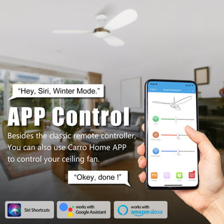 CARRO 52" Flush Mount Ceiling Fan with Dim Light and Remote 10 Speed, White/Gold