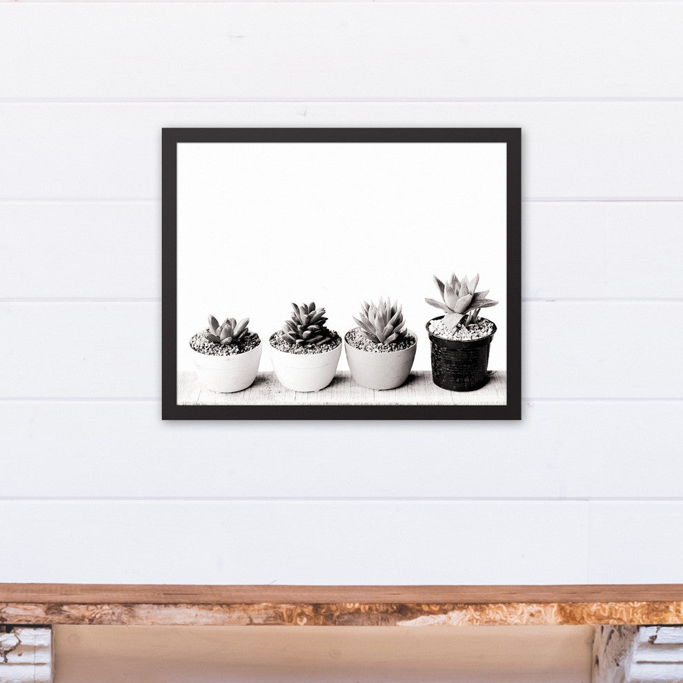 Black and White Succulents 16x20 Black Framed Canvas