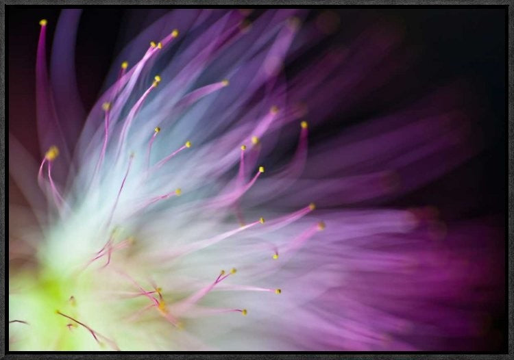 "The Will-O-The-Wisp" Framed Canvas Giclee by Art Lionse, 23x16"