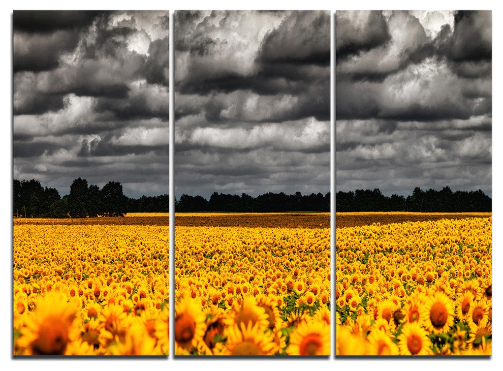 "Van Gogh Summer With Clouds" Metal Wall Art, 3 Panels, 36"x28"