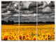 "Van Gogh Summer With Clouds" Metal Wall Art, 3 Panels, 36"x28"