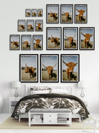 Sweeping Horns Triptych, Set of 3, 12x18 Panels