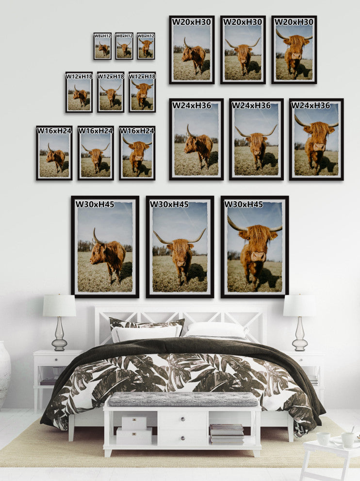 Sweeping Horns Triptych, Set of 3, 12x18 Panels