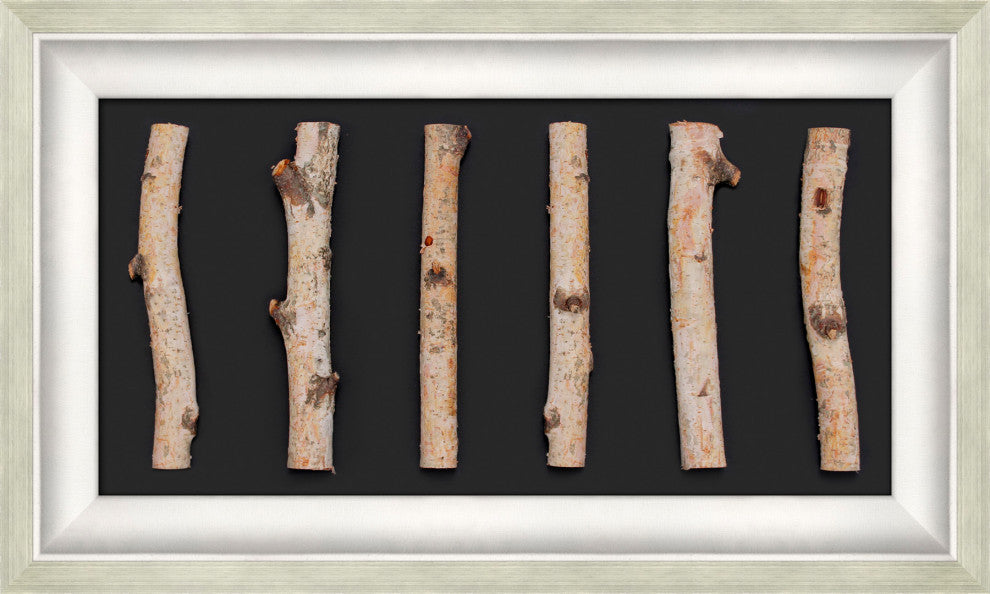 Birch Poles, Shadowbox