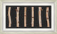Birch Poles, Shadowbox