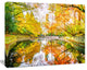 Bright Fall Forest with River, Landscape Canvas Art Print, 40"x30"