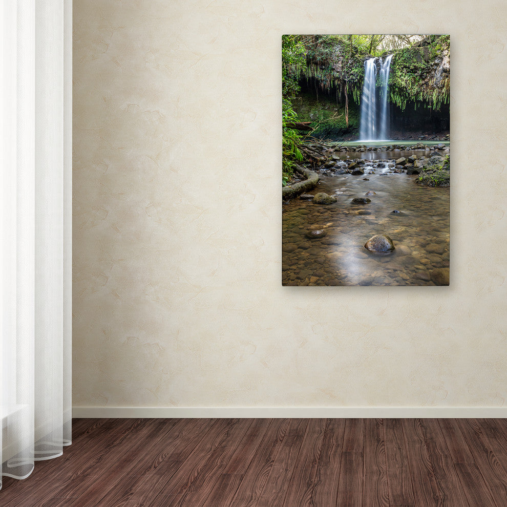 Pierre Leclerc 'Twin Falls Sunlight ' Canvas Art, 47x30
