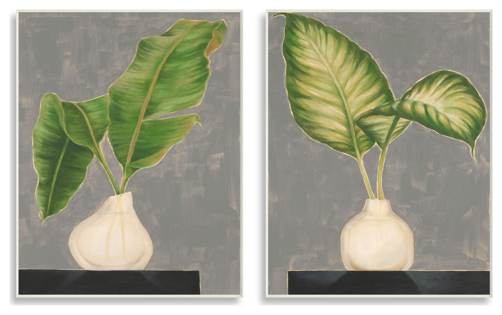 Large Palm Leaf Potted Plants Interior Still Life,10 x 15