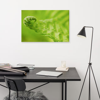 Fern Curl Botanical, Nature Photography Canvas Wall Art Print, 24" X 36"