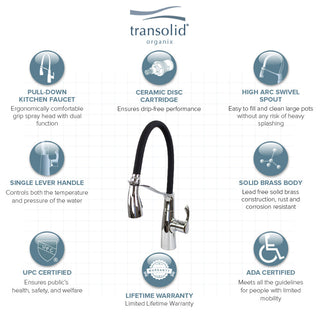 Transolid Organix Pull-Out Kitchen Faucet, Polished Chrome