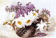 Raoul Paul Maucherat De Longpre Flowers in an Indian Basket Gallery Wrap Canvas