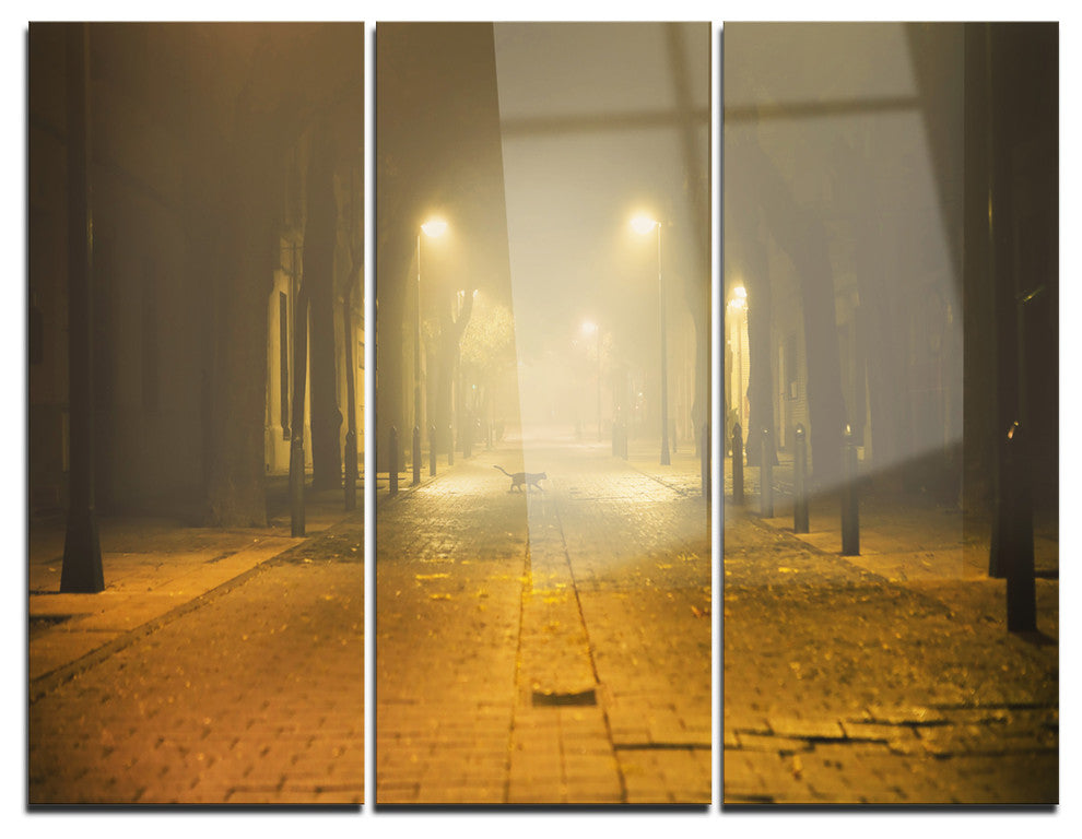 "Urban Street at Night" Photo Metal Wall Art, 3 Panels, 36"x28"
