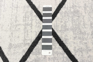 Aqua Damali Area Rug, Ivory/Black, 5'x7'