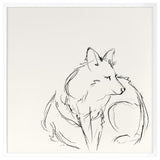Fox Sketch 1 Fine Art Print, White, 30"x30"