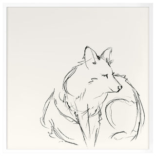 Fox Sketch 1 Fine Art Print, White, 30"x30"