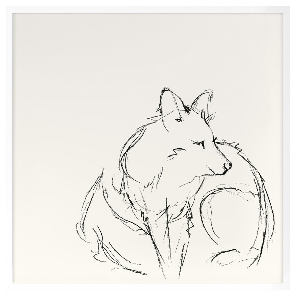 Fox Sketch 1 Fine Art Print, White, 30"x30"