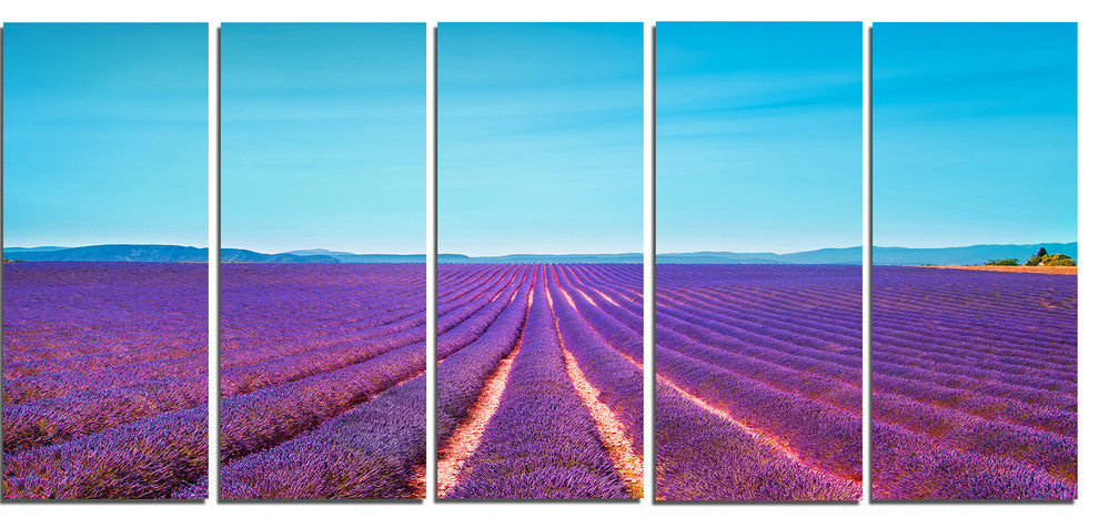 "Lavender Flowers And Clear Sky" Landscape Wall Art Print, 5 Panels, 60"x28"