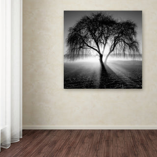 "Lightning Tree I" Canvas Art by Moises Levy