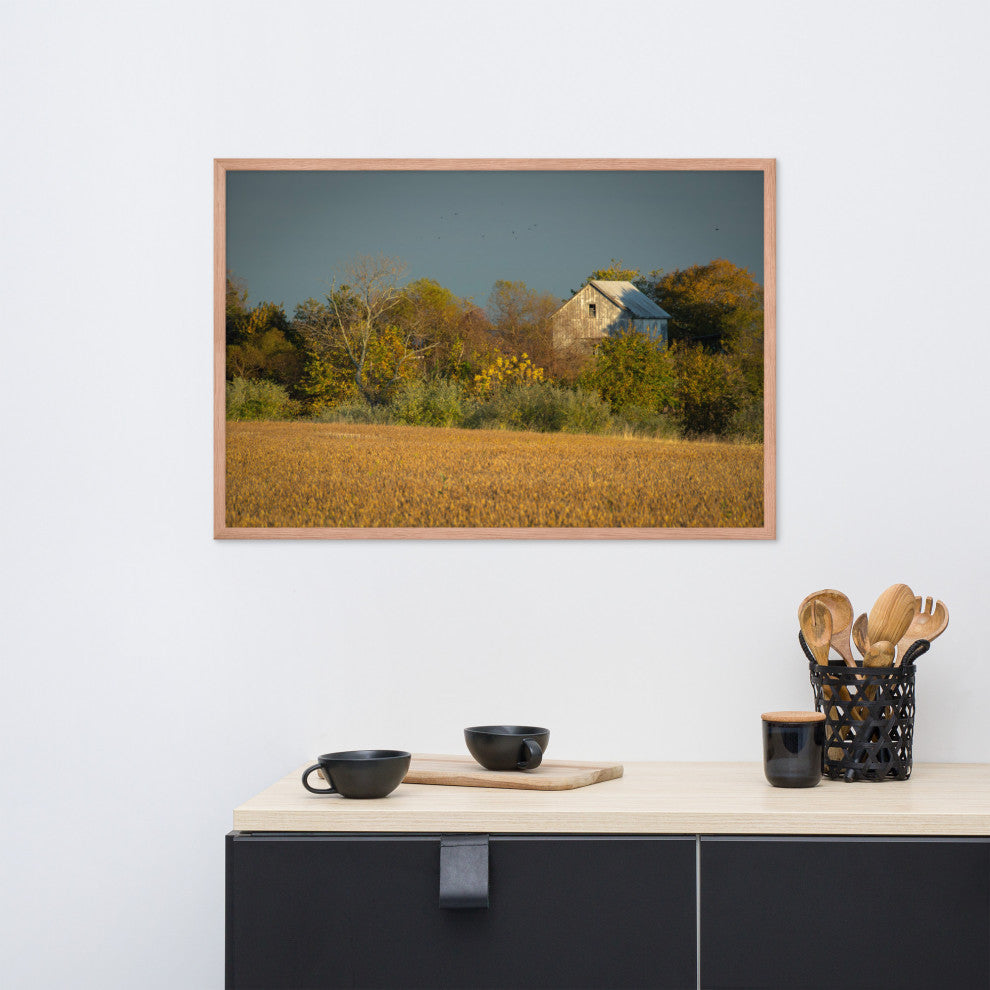 Abandoned Barn In The Trees Framed Photo Paper Wall Art Prints, Red Oak, 24" X 36"