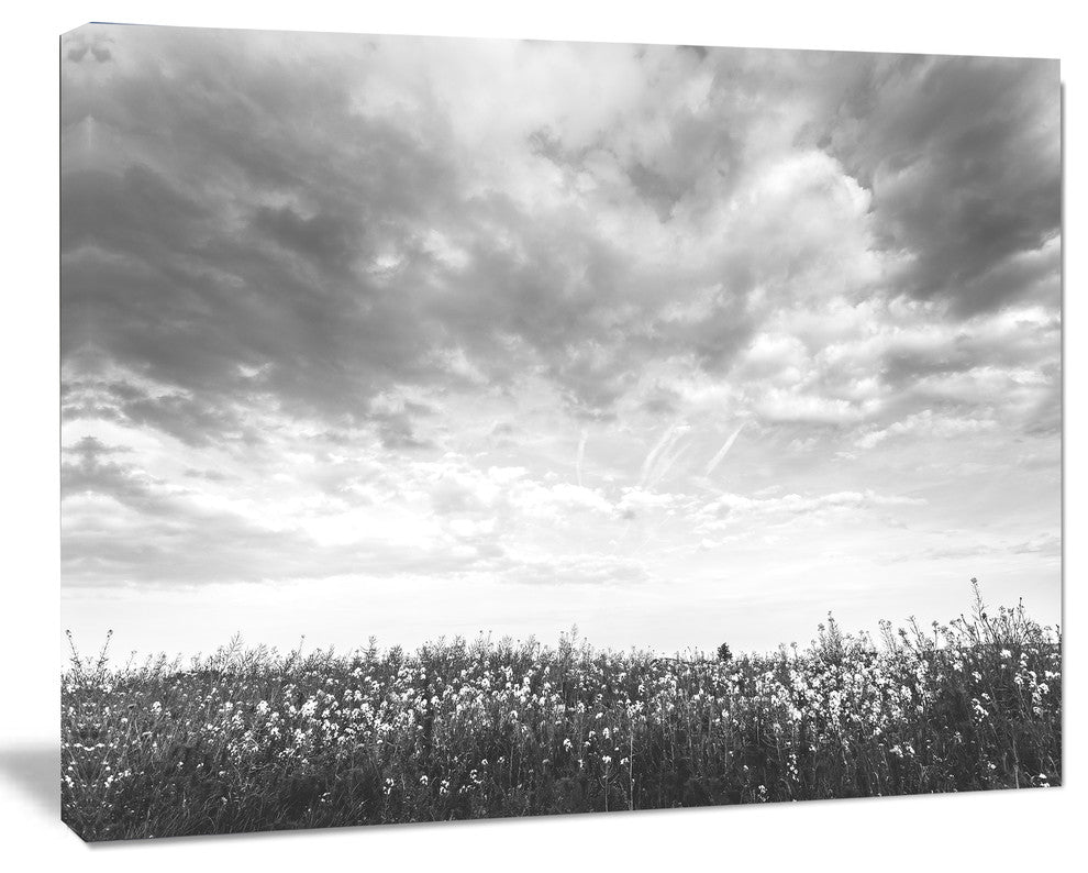 Rapeseed Garden in Black and White, Large Landscape Canvas Art, 60"x28"