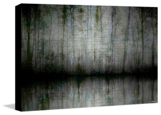 "Wispy Trees" UV Ink Print on Brushed  Aluminum, 36"x24"