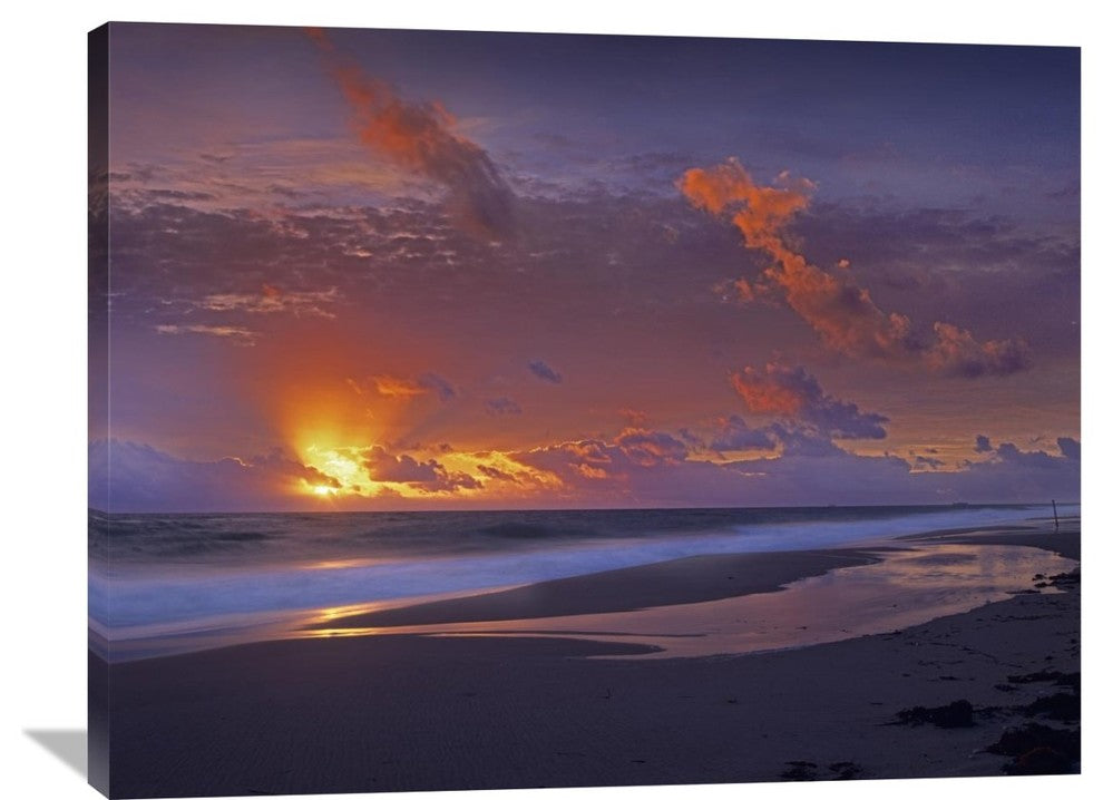 "Mcarthur Beach At Sunrise, Florida" Artwork, 40" x 30"