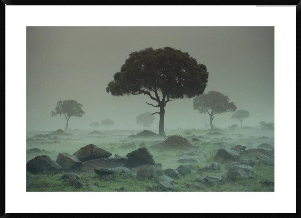 "Rain storm on the Serengeti Plains, Kenya"  by Tim Fitzharris, 44x32"