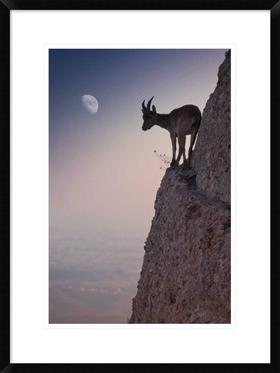 "By A Bouquet Of Flowers" Framed Digital Print by Renato J. Lopez, 22x30"