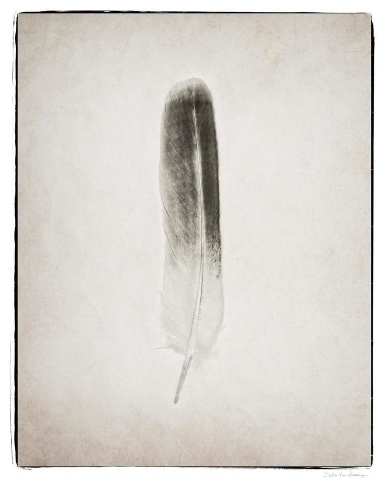 "Feather II - BW" Digital Paper Print by Debra Van Swearingen, 18"x22"