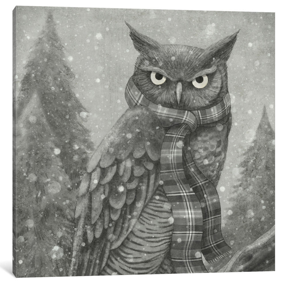"Winter Owl Square" by Terry Fan, 26x26x1.5