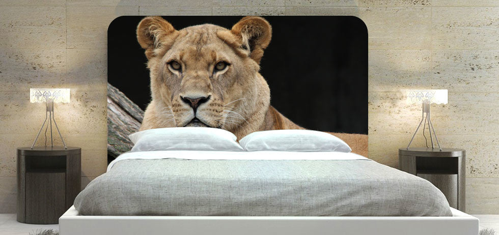 "Lion 34" Headboard