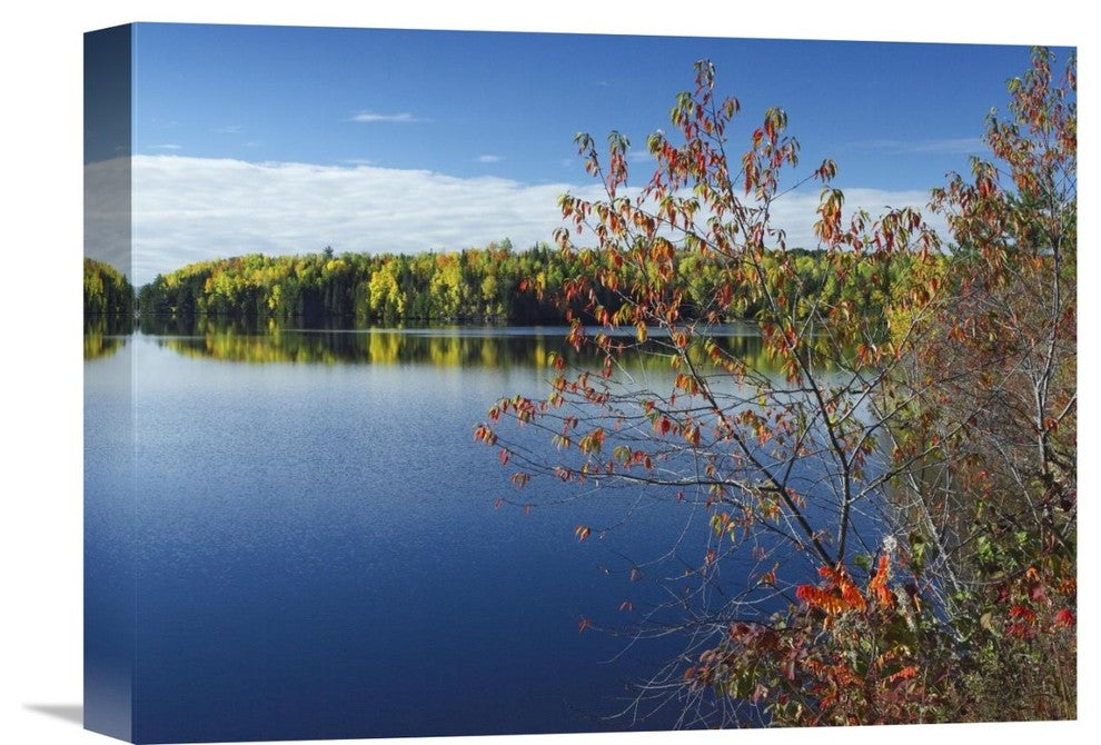 "Tobique River, New Brunswick, Canada" Canvas Giclee by Tim Fitzharris, 16"x12"
